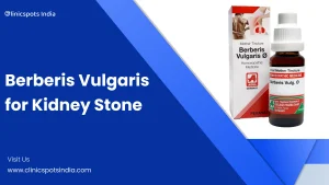 Berberis Vulgaris for Kidney Stones