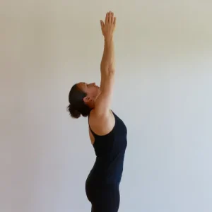 Surya Namaskara or Sun Salutation Pose