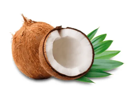 Coconut