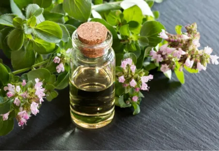 Oregano Oil