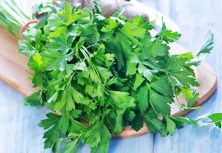 Parsley Leaves