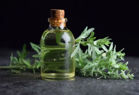 Wormwood extract
