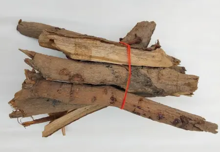 Mango Bark